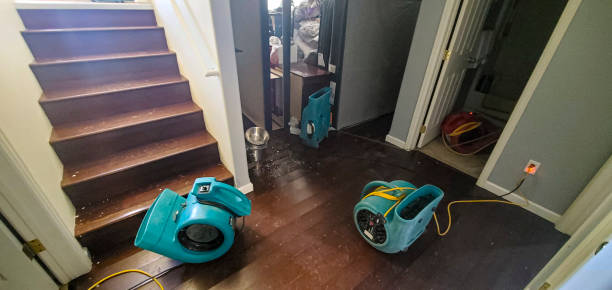 Best Odor Removal and Sanitization After Water Damage in Tunkhannock, PA