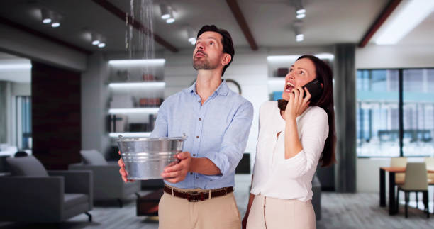 Best Ceiling and Wall Water Damage Repair in Tunkhannock, PA